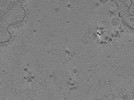 key visualization for AQB1tomo025