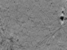 key visualization for Plasma membranes isolated by unroofing - Grid 06