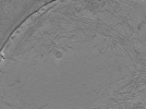 key visualization for ASB1tomo1158