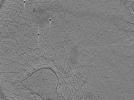 key visualization for ASB1tomo1169