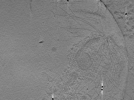 key visualization for ASB2_ts1