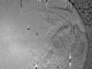 key visualization for ASB2_ts1