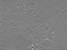 key visualization for ASB2_ts10