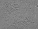 key visualization for ASB2_ts16