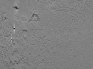 key visualization for ASB2_ts19