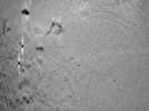 key visualization for ASB2_ts19