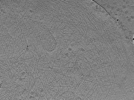 key visualization for ASB2_ts2