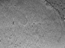 key visualization for ASB2_ts2