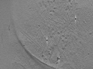 key visualization for ASB2_ts20