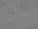 key visualization for ASB2_ts21