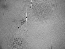 key visualization for ASB2_ts21