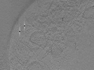 key visualization for ASB2_ts23