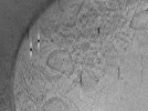 key visualization for ASB2_ts23