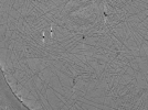 key visualization for ASB2_ts25