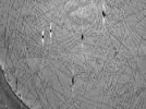 key visualization for ASB2_ts25