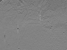 key visualization for ASB2_ts27