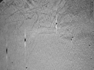 key visualization for ASB2_ts27