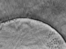 key visualization for ASB2_ts3