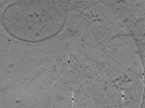 key visualization for ASB2_ts4