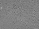 key visualization for ASB2_ts5