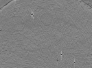 key visualization for ASB2_ts7