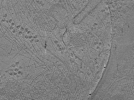 key visualization for ASB2_ts8