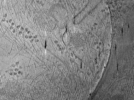 key visualization for ASB2_ts8