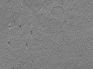 key visualization for ASB2_ts9