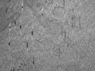key visualization for ASB2_ts9