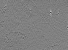 key visualization for ASB3tomo21
