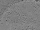 key visualization for ASB4tomo10