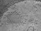key visualization for ASB4tomo10