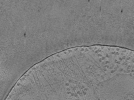 key visualization for ASB4tomo12