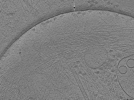 key visualization for ASB4tomo17