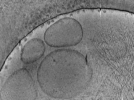 key visualization for ASB4tomo22
