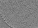 key visualization for ASB4tomo26