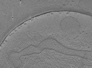 key visualization for ASB4tomo27
