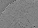 key visualization for ASB4tomo29
