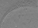key visualization for ASB4tomo35