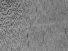 key visualization for ASB4tomo37