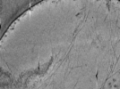 key visualization for ASB4tomo41