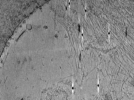 key visualization for ASB4tomo46
