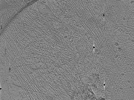 key visualization for ASB4tomo47