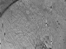 key visualization for ASB4tomo47