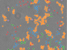 key visualization for CZ Imaging Institute simulated dataset 1