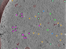 key visualization for TS_5_4
