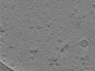 key visualization for TS_5_4