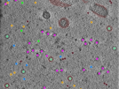 key visualization for TS_69_2