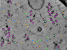 key visualization for TS_6_4