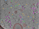 key visualization for TS_6_4
